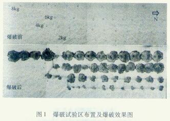 303145701.jpg
